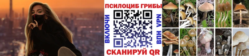 цены   Юрьев-Польский  Псилоцибиновые грибы ЛСД 